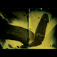 Illustration for article titled Photographer Captures Mesmeric Images of Parasitic Worm Sex